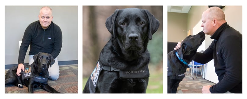 Peter-prince-collage