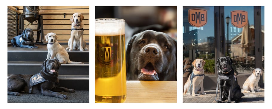 march-newsletter-pups-1-update