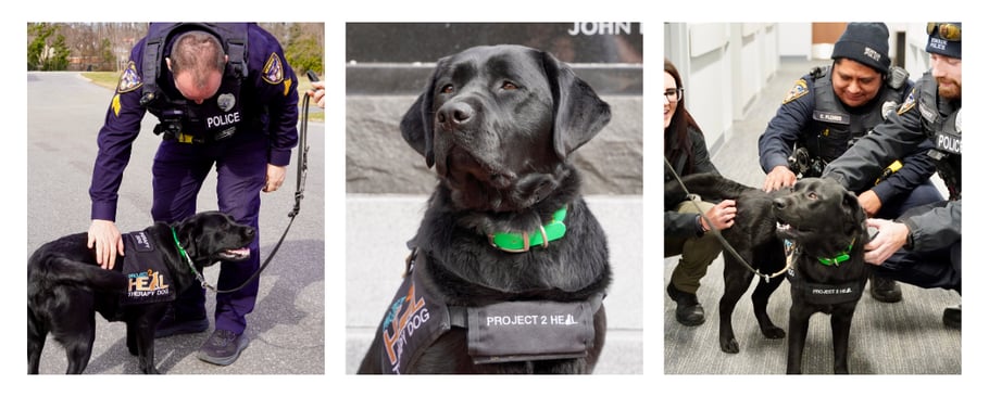 march-newsletters-raisers