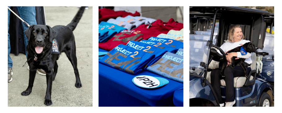 p4p-sept-newsletter-pics