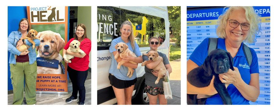 puppy-send-offs-row2