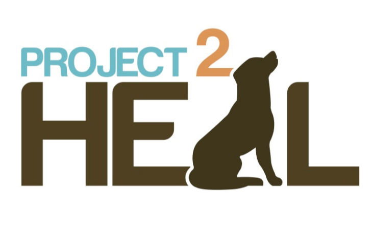 logo--1