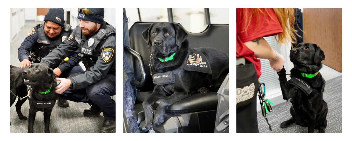 February 2026 E-Newsletter