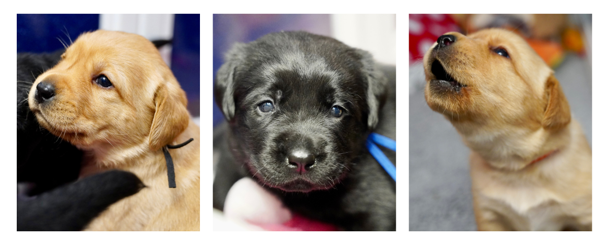 April 2026 E-Newsletter